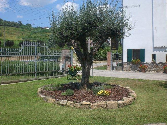 Villa Il Feudo Vo Euganeo Exterior foto